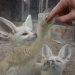 心の苦しい人へ。「あなたは悪くない」：罪悪感を手放し、自責の念を克服するための潜在意識の整え方