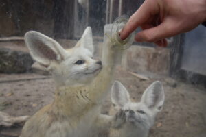 心の苦しい人へ。「あなたは悪くない」：罪悪感を手放し、自責の念を克服するための潜在意識の整え方