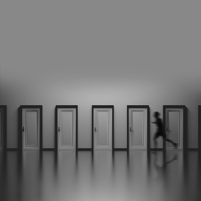 いくつもの扉の前を走る黒い人影
