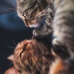 [生きづらい・自分が嫌い]を抱える人へ。自己肯定感と自尊心を育てて人生を変える方法