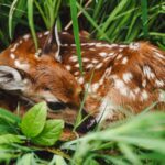 生きづらい原因と克服法｜ネガティブ思考や人間関係の疲れから抜け出すヒント