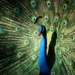 これでもうツラくならない。強すぎる承認欲求の原因と正しい抑え方