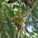自信がない・怖いと動けない人へ。生きづらさを突破するための実践ガイド