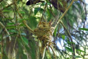 自信がない・怖いと動けない人へ。生きづらさを突破するための実践ガイド