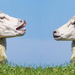 愚痴をやめたい人へ｜体験談から学ぶ改善方法と意識の変え方