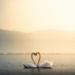 「好きになる相手の条件」の正解とは？外見か性格かで迷う恋愛価値観の答え