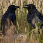 会話で頭が真っ白になる原因とは。「言葉が出ない」場面に役立つ思考整理術