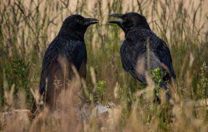 会話で頭が真っ白になる原因とは。「言葉が出ない」場面に役立つ思考整理術