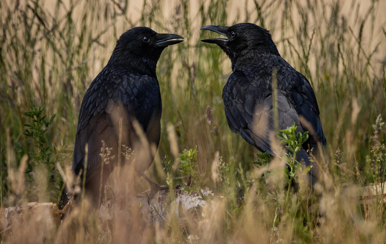 会話で頭が真っ白になる原因とは。「言葉が出ない」場面に役立つ思考整理術