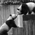 自分の性質が変わると”出会う人の質”は本当に変わる？心理学でわかる現実的メカニズム