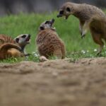 嫌な人間関係を繰り返してしまう理由とは？性質が変わると出会う人の質が変わるメカニズム