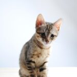 「自分はダメ」という意識の前提を書き換える｜自己価値と自尊心を取り戻すための考え方